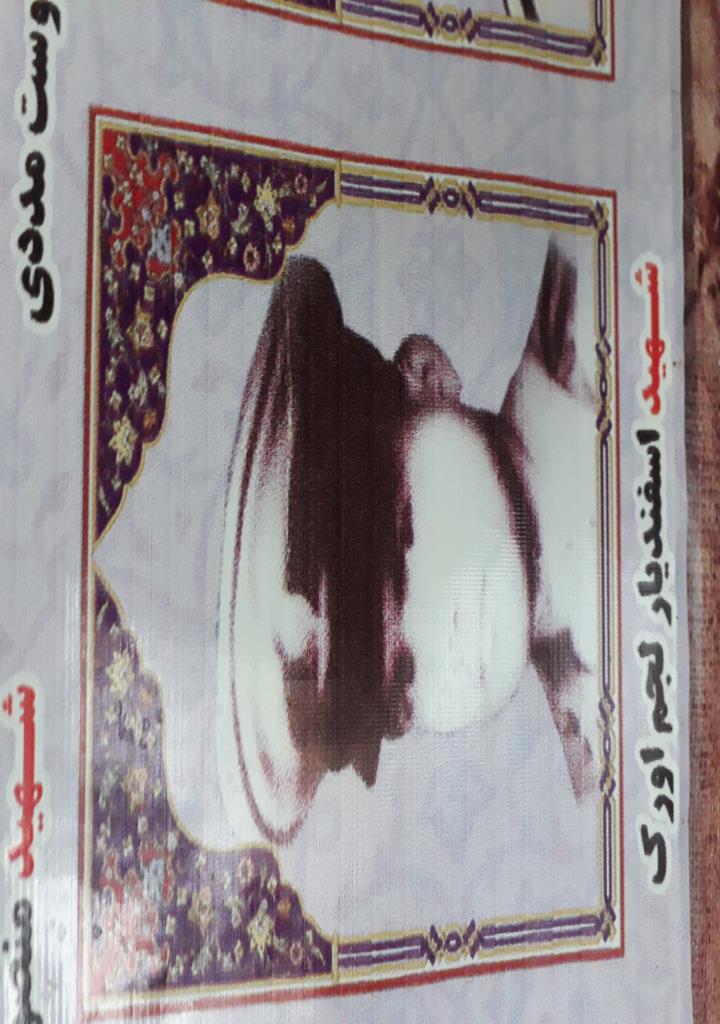 فاقد تصویر